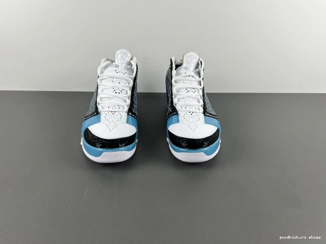 Jordan 23 318376-041 UNC 0806